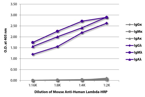 ELISA plate was coated with purified human IgGκ, IgMκ, IgAκ, IgGλ, IgMλ, and IgAλ. Immunoglobulins were detected with serially diluted Mouse Anti-Human Lambda-HRP (SB Cat. No. 9180-05).