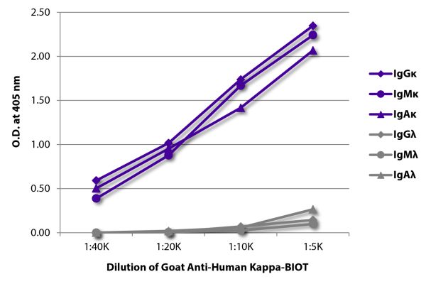 ELISA plate was coated with purified human IgGκ, IgMκ, IgAκ, IgGλ, IgMλ, and IgAλ. Immunoglobulins were detected with serially diluted Goat Anti-Human Kappa-BIOT (SB Cat. No. 2060-08) followed by Streptavidin-HRP (SB Cat. No. 7100-05).