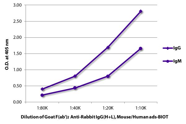 ELISA plate was coated with purified rabbit IgG and IgM. Immunoglobulins were detected with serially diluted Goat F(ab')<sub>2</sub> Anti-Rabbit IgG(H+L), Mouse/Human ads-BIOT (SB Cat. No. 4052-08) followed Streptavidin-HRP (SB Cat. No. 7100-05).