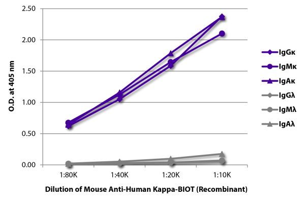 ELISA plate was coated with purified human IgGκ, IgMκ, IgAκ, IgGλ, IgMλ, and IgAλ. 
Immunoglobulins were detected with serially diluted Mouse Anti-Human Kappa-BIOT (Recombinant) - (SB Cat. No. 29230-08) followed by Streptavidin-HRP (SB Cat. No. 7105-05).