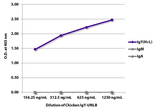 ELISA plate was coated with serially diluted Chicken IgY-UNLB (SB Cat. No. 0170-01).  Immunoglobulin was detected with Goat Anti-Chicken IgY(H+L)-BIOT (SB Cat. No. 6100-08),  Mouse Anti-Chicken IgM-BIOT (SB Cat. No. 8300-08), and Mouse Anti-Chicken IgA-BIOT (SB Cat. No. 8330-08) followed by Streptavidin-HRP (SB Cat No. 7100-05) and quantified.