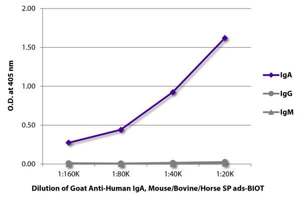 ELISA plate was coated with purified human IgA, IgG, and IgM. Immunoglobulins were detected with serially diluted Goat Anti-Human IgA, Mouse/Bovine/Horse SP ads-BIOT (SB Cat. No. 2053-08) followed by Streptavidin-HRP (SB Cat. No. 7105-05).