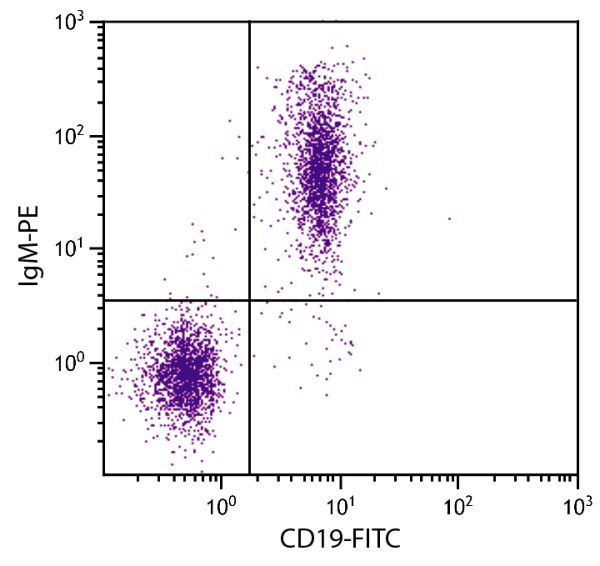 BALB/c mouse splenocytes were stained with Goat Anti-Mouse IgM-PE (SB Cat. No. 1021-09S) and Rat Anti-Mouse CD19-FITC (SB Cat. No. 1575-02).