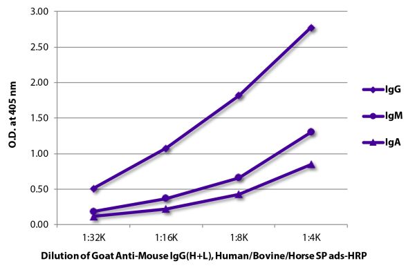 ELISA plate was coated with purified mouse IgG, IgM, and IgA. Immunoglobulins were detected with serially diluted Goat Anti-Mouse IgG(H+L), Human/Bovine/Horse SP ads-HRP (SB Cat. No. 1037-05).