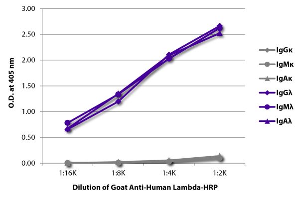 ELISA plate was coated with purified human IgGκ, IgMκ, IgAκ, IgGλ, IgMλ, and IgAλ. Immunoglobulins were detected with serially diluted Goat Anti-Human Lambda-HRP (SB Cat. No. 2070-05).