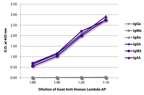 ELISA plate was coated with purified human IgGκ, IgMκ, IgAκ, IgGλ, IgMλ, and IgAλ. Immunoglobulins were detected with serially diluted Goat Anti-Human Lambda-AP (SB Cat. No. 2070-04).