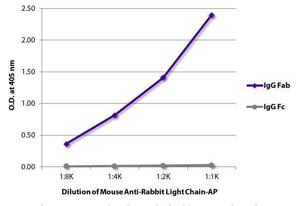 ELISA plate was coated with purified rabbit IgG Fab and IgG Fc. Immunoglobulins were detected with serially diluted Mouse Anti-Rabbit Light Chain-AP (SB Cat. No. 4060-04).