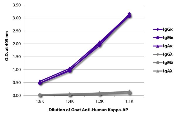 ELISA plate was coated with purified human IgGκ, IgMκ, IgAκ, IgGλ, IgMλ, and IgAλ. Immunoglobulins were detected with serially diluted Goat Anti-Human Kappa-AP (SB Cat. No. 2060-04).