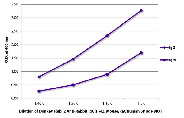 ELISA plate was coated with purified rabbit IgG and IgM. Immunoglobulins were detected with serially diluted Donkey F(ab')<sub>2</sub> Anti-Rabbit IgG(H+L), Mouse/Rat/Human SP ads-BIOT (SB Cat. No. 6446-08) followed by Streptavidin-HRP (SB Cat. No. 7105-05).