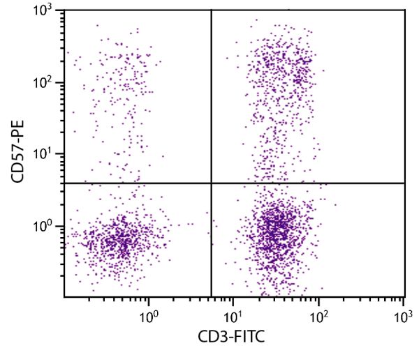 Human peripheral blood lymphocytes were stained with Mouse Anti-Human CD57-PE (SB Cat. No. 9665-09) and Mouse Anti-Human CD3-FITC (SB Cat. No. 9515-02).