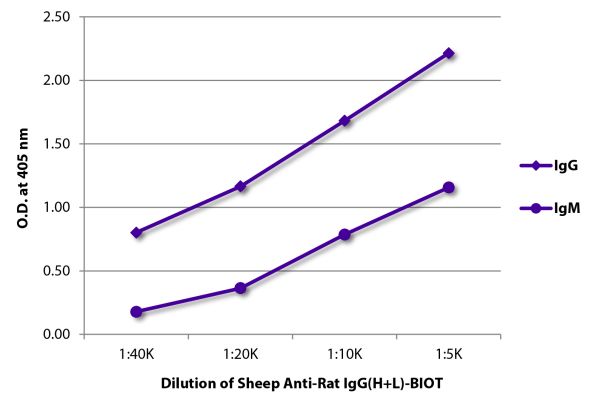 ELISA plate was coated with purified rat IgG and IgM. Immunoglobulins were detected with Sheep Anti-Rat IgG(H+L)-BIOT (SB Cat. No. 6900-08) followed by Streptavidin-HRP (SB Cat. No. 7105-05)