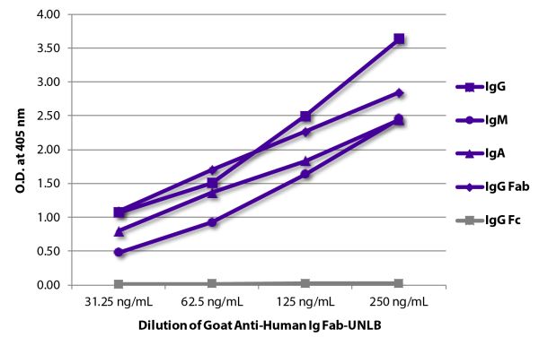 ELISA plate was coated with purified human IgG, IgM, IgA, IgG Fab, and IgG Fc. Immunoglobulins were detected with serially diluted Goat Anti-Human Ig Fab-UNLB (SB Cat. No. 2085-01) followed by Mouse Anti-Goat IgG Fc-HRP (SB Cat. No. 6158-05).