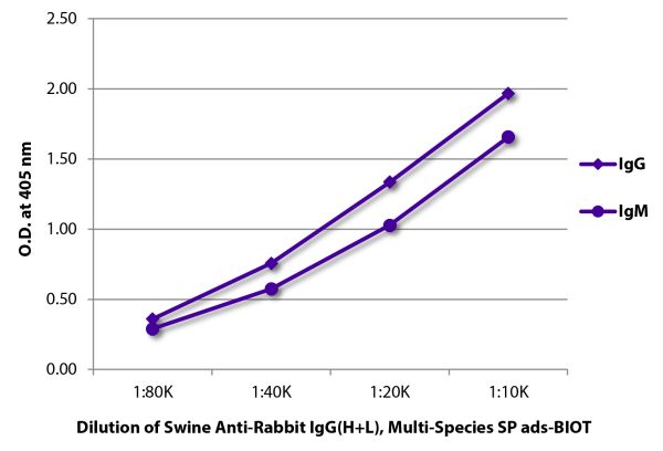 ELISA plate was coated with purified rabbit IgG and IgM. Immunoglobulins were detected with Swine Anti-Rabbit IgG(H+L), Multi-Species SP ads-BIOT (SB Cat. No. 6312-08) followed by Streptavidin-HRP (SB Cat. No. 7105-05).
