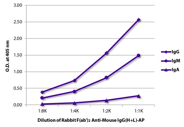 ELISA plate was coated with purified mouse IgG, IgM, and IgA. Immunoglobulins were detected with serially diluted Rabbit F(ab')<sub>2</sub> Anti-Mouse IgG(H+L)-AP (SB Cat. No. 6120-04).