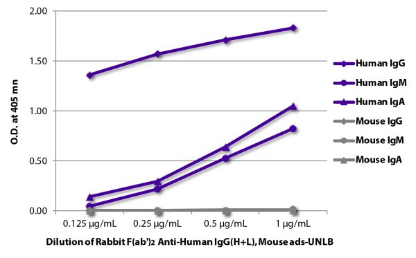 ELISA plate was coated with purified human IgG, IgM, and IgA and mouse IgG, IgM, and IgA. Immunoglobulins were detected with Rabbit F(ab')<sub>2</sub> Anti-Human IgG(H+L), Mouse ads-UNLB (SB Cat. No. 6005-01) followed by Goat Anti-Rabbit IgG-HRP (SB Cat. No. 4030-05).