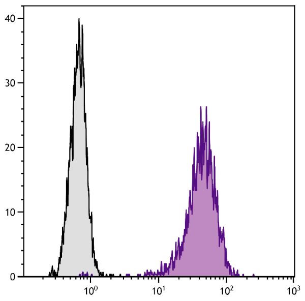 Human histiocytic lymphoma cell line U-937 was stained with Mouse Anti-Human CD71-PE (SB Cat. No. 9670-09).
