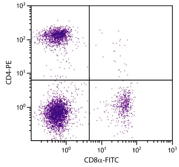 BALB/c mouse splenocytes were stained with Rat Anti-Mouse CD4-PE (SB Cat. 1540-09) and Rat Anti-Mouse CD8α-FITC (SB Cat. No. 1550-02).