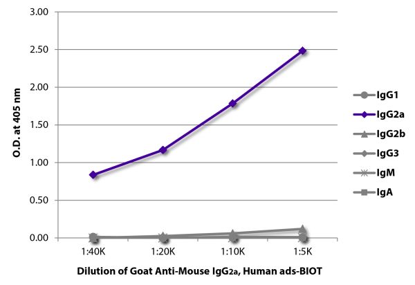 ELISA plate was coated with purified mouse IgG<sub>1</sub>, IgG<sub>2a</sub>, IgG<sub>2b</sub>, IgG<sub>3</sub>, IgM, and IgA.  Immunoglobulins were detected with serially diluted Goat Anti-Mouse IgG<sub>2a</sub>, Human ads-BIOT (SB Cat. No. 1080-08) followed by Streptavidin-HRP (SB Cat. No. 7100-05).
