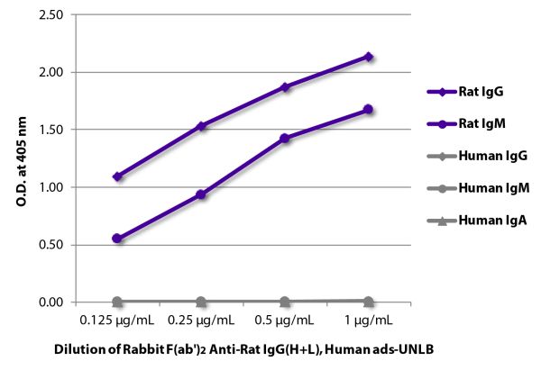 ELISA plate was coated with purified rat IgG and IgM and human IgG, IgM, and IgA.  Immunoglobulins were detected with serially diluted Rabbit F(ab')<sub>2</sub> Anti-Rat IgG(H+L), Human ads-UNLB (SB Cat. No. 6135-01) followed by Goat Anti-Rabbit IgG(H+L), Mouse/Human ads-HRP (SB Cat. No. 4050-05).