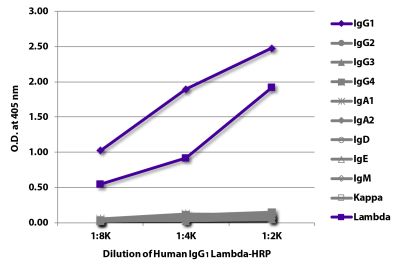 ELISA plate was coated with Mouse Anti-Human IgG<sub>1</sub> Hinge-UNLB (SB Cat. No. 9052-01), Mouse Anti-Human IgG<sub>2</sub> Fc-UNLB (SB Cat. No. 9060-01), Mouse Anti-Human IgG<sub>3</sub> Hinge-UNLB (SB Cat. No. 9210-01), Mouse Anti-Human IgG<sub>4</sub> pFc'-UNLB (SB Cat. No. 9190-01), Mouse Anti-Human IgA<sub>1</sub>-BIOT (SB Cat. No. 9130-01), Mouse Anti-Human IgA<sub>2</sub>-UNLB (SB Cat. No. 9140-01), Mouse Anti-Human IgD-UNLB (SB Cat. No. 9030-01), Mouse Anti-Human IgE Fc-UNLB (SB Cat. No. 9160-01), Mouse Anti-Human IgM-UNLB (SB Cat. No. 9020-01), Mouse Anti-Human Kappa-UNLB (SB Cat. No. 9230-01), and Mouse Anti-Human Lambda-UNLB (SB Cat. No. 9180-01). Serially diluted Human IgG<sub>1</sub> Lambda-HRP (SB Cat. No. 0151L-05) was captured and quantified.
