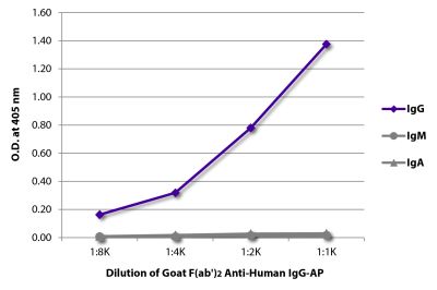 ELISA plate was coated with purified human IgG, IgM, and IgA. Immunoglobulins were detected with serially diluted Goat F(ab')<sub>2</sub> Anti-Human IgG-AP (SB Cat. No. 2042-04).