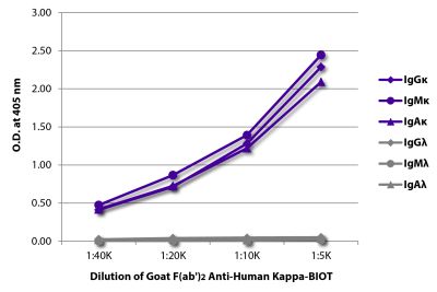 ELISA plate was coated with purified human IgGκ, IgMκ, IgAκ, IgGλ, IgMλ, and IgAλ. Immunoglobulins were detected with serially diluted Goat F(ab')<sub>2</sub> Anti-Human Kappa-BIOT (SB Cat. No. 2062-08) followed by Streptavidin-HRP (SB Cat. No. 7100-05).