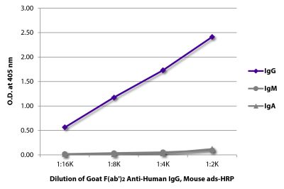 ELISA plate was coated with purified human IgG, IgM, and IgA. Immunoglobulins were detected with serially diluted Goat F(ab')<sub>2</sub> Anti-Human IgG, Mouse ads-HRP (SB Cat. No. 2043-05).