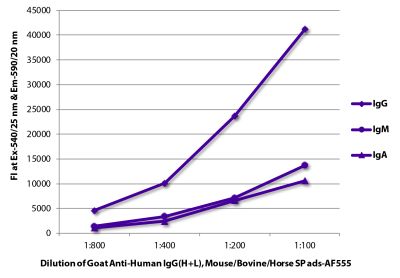 FLISA plate was coated with purified human IgG, IgM, and IgA. Immunoglobulins were detected with serially diluted Goat Anti-Human IgG(H+L), Mouse/Bovine/Horse SP ads-AF555 (SB Cat. No. 2016-32).