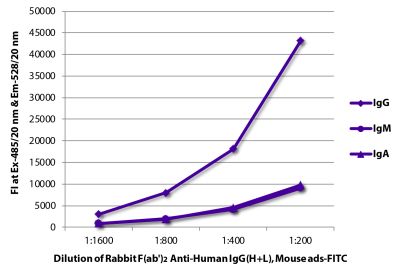 FLISA plate was coated with purified human IgG, IgM, and IgA. Immunoglobulins were detected with Rabbit F(ab')<sub>2</sub> Anti-Human IgG(H+L), Mouse ads-FITC (SB Cat. No. 6005-02).