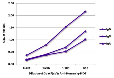 ELISA plate was coated with purified human IgG, IgM, and IgA. Immunoglobulins were detected with serially diluted Goat F(ab')<sub>2</sub> Anti-Human Ig-BIOT (SB Cat. No. 2012-08) followed by Streptavidin-HRP (SB Cat. No. 7100-05).