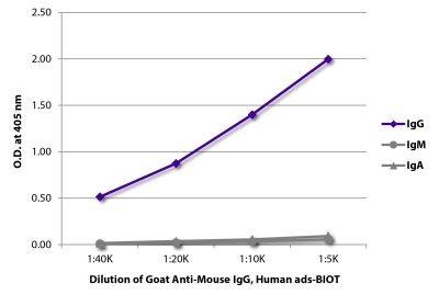 ELISA plate was coated with purified mouse IgG, IgM, and IgA. Immunoglobulins were detected with serially diluted Goat Anti-Mouse IgG, Human ads-BIOT (SB Cat. No. 1030-08) followed by Streptavidin-HRP (SB Cat. No. 7100-05).