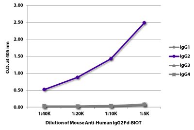 ELISA plate was coated with purified human IgG<sub>1</sub>, IgG<sub>2</sub>, IgG<sub>3</sub>, and IgG<sub>4</sub>. Immunoglobulins were detected with serially diluted Mouse Anti-Human IgG<sub>2</sub> Fd-BIOT (SB Cat. No. 9080-08) followed by Streptavidin-HRP (SB Cat. No. 7100-05).