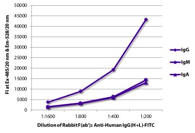 FLISA plate was coated with purified human IgG, IgM, and IgA. Immunoglobulins were detected with Rabbit F(ab')<sub>2</sub> Anti-Human IgG(H+L)-FITC (SB Cat. No. 6000-02).