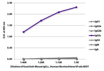 ELISA plate was coated with purified mouse IgG<sub>1</sub>, IgG<sub>2a</sub>, IgG<sub>2b</sub>, IgG<sub>2c</sub>, IgG<sub>3</sub>, IgM, and IgA. Immunoglobulins were detected with serially diluted Goat Anti-Mouse IgG<sub>2c</sub>, Human/Bovine/Horse SP ads-BIOT (SB Cat. No. 1077-08) followed by Streptavidin-HRP (SB Cat. No. 7100-05).