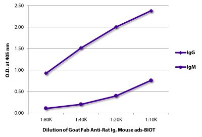 ELISA plate was coated with purified rat IgG and IgM. Immunoglobulins were detected with serially diluted Goat Fab Anti-Rat Ig, Mouse ads-BIOT (SB Cat. No. 3000-08) followed by Streptavidin-HRP (SB Cat. No. 7100-05).