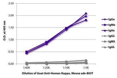 ELISA plate was coated with purified human IgGκ, IgMκ, IgAκ, IgGλ, IgMλ, and IgAλ. Immunoglobulins were detected with serially diluted Goat Anti-Human Kappa, Mouse ads-BIOT (SB Cat. No. 2061-08) followed by Streptavidin-HRP (SB Cat. No. 7100-05).