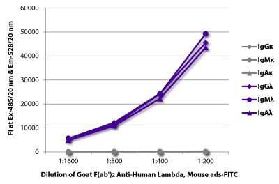 FLISA plate was coated with purified human IgGκ, IgMκ, IgAκ, IgGλ, IgMλ, and IgAλ. Immunoglobulins were detected with serially diluted Goat F(ab')<sub>2</sub> Anti-Human Lambda, Mouse ads-FITC (SB Cat. No. 2073-02).