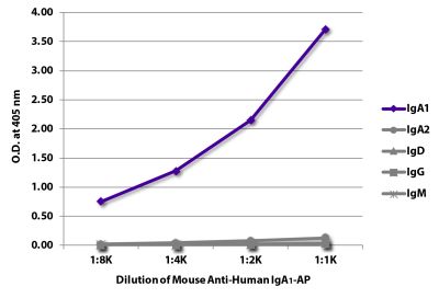 ELISA plate was coated with purified human IgA<sub>1</sub>, IgA<sub>2</sub>, IgD, IgG, and IgM. Immunoglobulins were detected with serially diluted Mouse Anti-Human IgA<sub>1</sub>-AP (SB Cat. No. 9130-04).