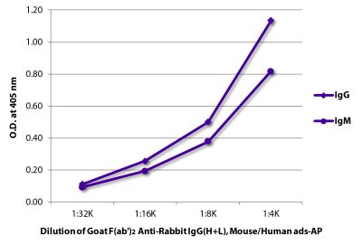 ELISA plate was coated with purified rabbit IgG and IgM. Immunoglobulins were detected with serially diluted Goat F(ab')<sub>2</sub> Anti-Rabbit IgG(H+L), Mouse/Human ads-AP (SB Cat. No. 4052-04).