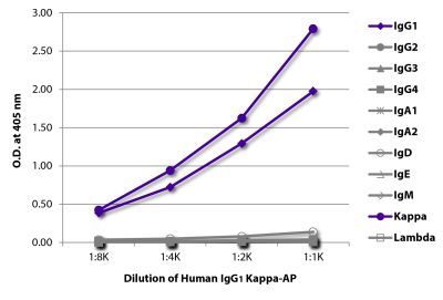 ELISA plate was coated with Mouse Anti-Human IgG<sub>1</sub> Hinge-UNLB (SB Cat. No. 9052-01), Mouse Anti-Human IgG<sub>2</sub> Fc-UNLB (SB Cat. No. 9060-01), Mouse Anti-Human IgG<sub>3</sub> Hinge-UNLB (SB Cat. No. 9210-01), Mouse Anti-Human IgG<sub>4</sub> pFc'-UNLB (SB Cat. No. 9190-01), Mouse Anti-Human IgA<sub>1</sub>-BIOT (SB Cat. No. 9130-01), Mouse Anti-Human IgA<sub>2</sub>-UNLB (SB Cat. No. 9140-01), Mouse Anti-Human IgD-UNLB (SB Cat. No. 9030-01), Mouse Anti-Human IgE Fc-UNLB (SB Cat. No. 9160-01), Mouse Anti-Human IgM-UNLB (SB Cat. No. 9020-01), Mouse Anti-Human Kappa-UNLB (SB Cat. No. 9230-01), and Mouse Anti-Human Lambda-UNLB (SB Cat. No. 9180-01). Serially diluted Human IgG<sub>1</sub> Kappa-AP (SB Cat. No. 0151K-04) was captured and quantified.