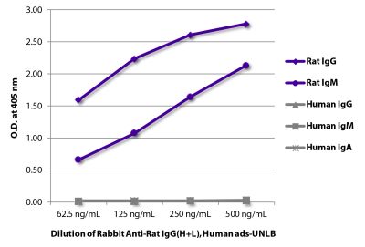 ELISA plate was coated with purified rat IgG and IgM and human IgG, IgM, and IgA. Immunoglobulins were detected with Rabbit Anti-Rat IgG(H+L), Human ads-UNLB (SB Cat. No. 6185-01) followed by Rat Anti-Rabbit Ig-UNLB (SB Cat. No. 4065-05).