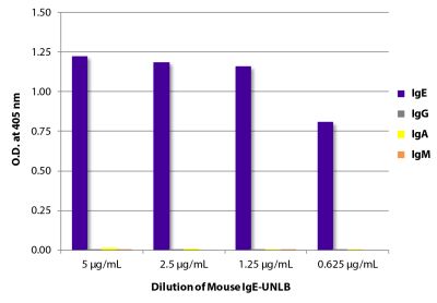 ELISA plate was coated with serially diluted Mouse IgE-UNLB (SB Cat. No. 0114-01). Immunoglobulin was detected with Goat Anti-Mouse IgG, Human ads-BIOT (SB Cat. No. 1030-08), Goat Anti-Mouse IgA-BIOT (SB Cat. No. 1040-08), Goat Anti-Mouse IgM, Human ads-BIOT (SB Cat. No. 1020-08), and Goat Anti-Mouse IgE-BIOT (SB Cat. No. 1110-08) followed by Streptavidin-HRP (SB Cat No. 7100-05) and quantified.