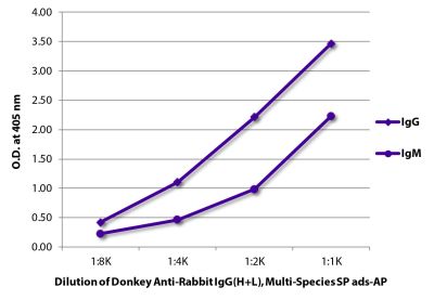 ELISA plate was coated with purified rabbit IgG and IgM. Immunoglobulins were detected with serially diluted Donkey Anti-Rabbit IgG(H+L), Multi-Species SP ads-AP (SB Cat. No. 6442-04).