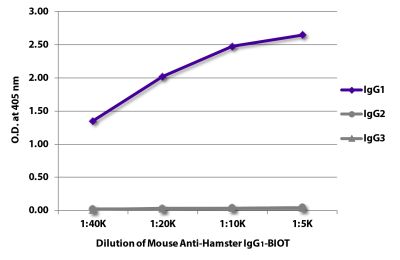 ELISA plate was coated with purified hamster IgG<sub>1</sub>, IgG<sub>2</sub>, and IgG<sub>3</sub>. Immunoglobulins were detected with serially diluted Mouse Anti-Hamster IgG<sub>1</sub>-BIOT (SB Cat. No. 1940-08) followed by Streptavidin-HRP (SB Cat. No. 7100-05).