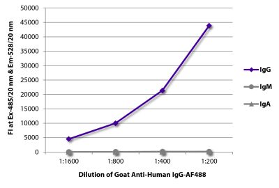 FLISA plate was coated with purified human IgG, IgM, and IgA. Immunoglobulins were detected with serially diluted Goat Anti-Human IgG-AF488 (SB Cat. No. 2040-30).