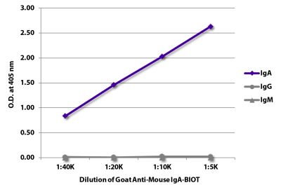 ELISA plate was coated with purified mouse IgA, IgG, and IgM. Immunoglobulins were detected with serially diluted Goat Anti-Mouse IgA-BIOT (SB Cat. No. 1040-08) followed by Streptavidin-HRP (SB Cat. No. 7100-05).