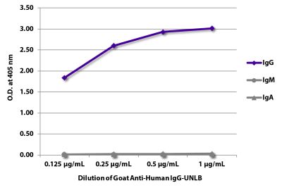ELISA plate was coated with purified human IgG, IgM, and IgA. Immunoglobulins were detected with serially diluted Goat Anti-Human IgG-UNLB (SB Cat. No. 2040-01) followed by Mouse Anti-Goat IgG Fc-HRP (SB Cat. No. 6158-05).