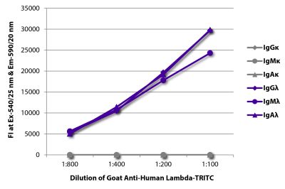 FLISA plate was coated with purified human IgGκ, IgMκ, IgAκ, IgGλ, IgMλ, and IgAλ. Immunoglobulins were detected with serially diluted Goat Anti-Human Lambda-TRITC (SB Cat. No. 2070-03).