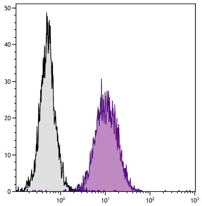 C57BL/6 mouse splenocytes were stained with Mouse Anti-Mouse H-2Db-FITC (SB Cat. No. 1913-02).