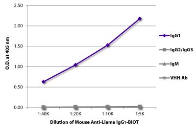 ELISA plate was coated with purified llama IgG<sub>1</sub>, IgG<sub>2</sub>/IgG<sub>3</sub>, IgM, and a VHH antibody. Immunoglobulins were detected with Mouse Anti-Llama IgG<sub>1</sub>-BIOT (SB Cat. No. 5870-08) followed by Streptavidin-HRP (SB Cat. No. 7105-05).